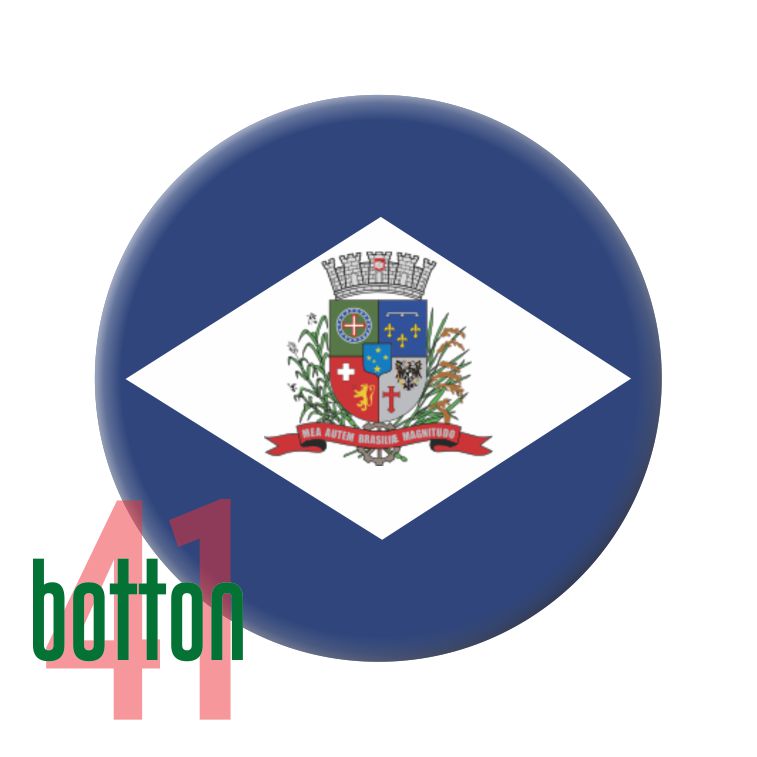 Bandeira Cidade Joinville